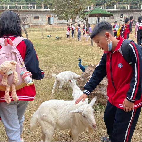 “与自然有约，携阳光同行”—五（2）班秋季研学活动