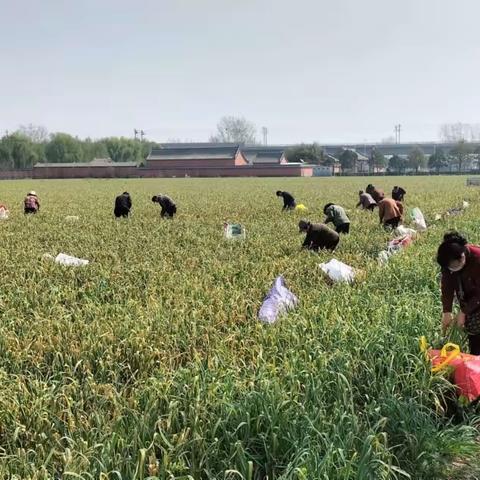 疫情防控不松劲 春耕生产不误时