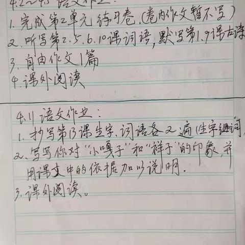 一位被校长说成“躺平”并被校长建议调离原校的老师的作业布置记录本