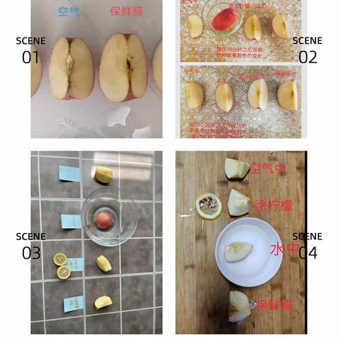 咸阳市高新一中初中部第11期科学小实验——变色的苹果