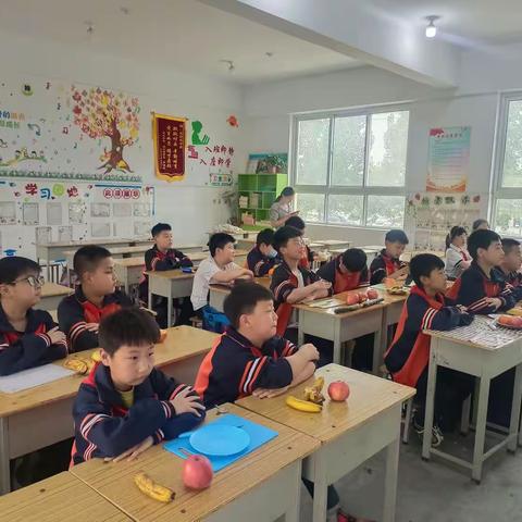 奇思巧拼，果然精彩——殷都区正心小学水果拼盘社团乐趣多