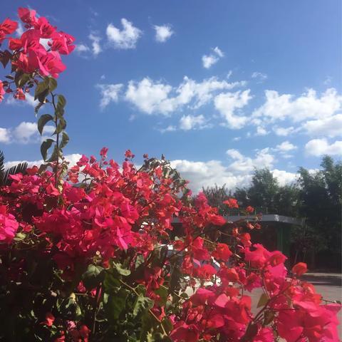 好大的一座桥—龙江大桥