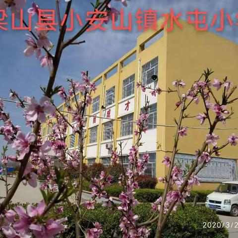 小安山镇水屯小学，疫情期间停课不停学，离校不离岗， 线上教学活动。