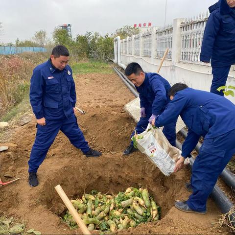 高区：马山路消防救援站挖菜窖储存过冬蔬菜