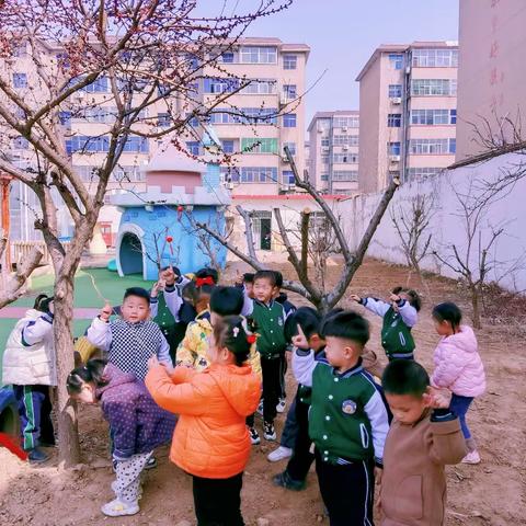 “温馨三月天，浓情三八节，植树节”剑桥二班小可爱💝💝💝