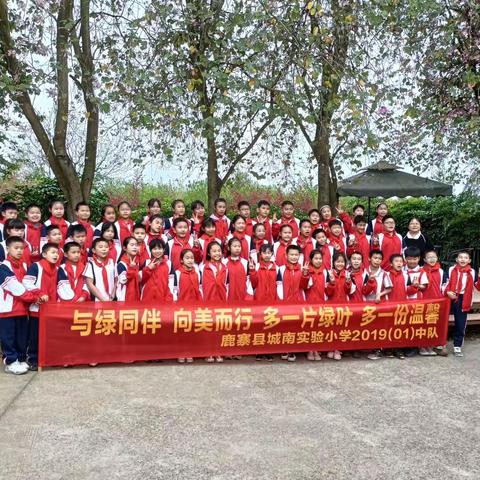 “与绿同伴，向美而行！”  多一片绿叶，多一份温馨  ——鹿寨县城南实小201901中队植树实践活动