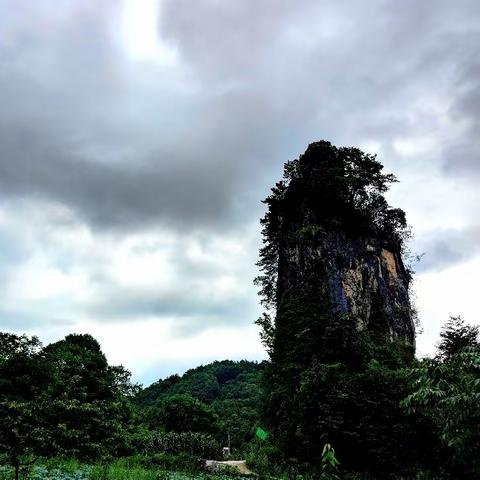 行吟广元（曾家山五题）