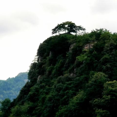 庞家山三题（外三首）