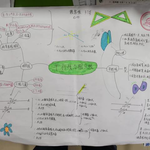 三四班七下第二章思维导图