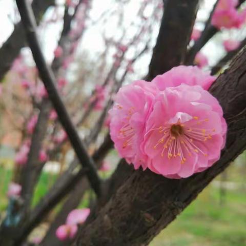 秉持科学态度，探索生物奥秘