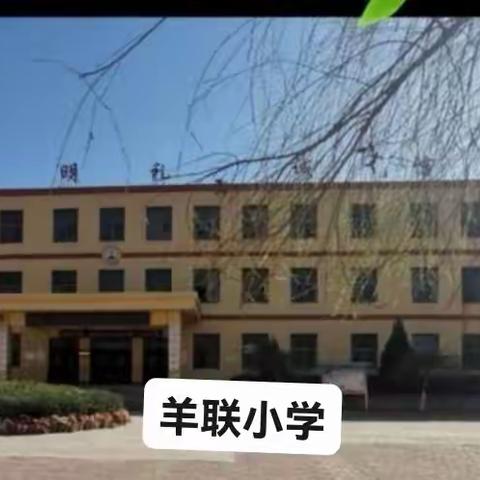 不忘初心促成长，延时服务展新颜--曲阳县路庄子乡羊联小学延时服务活动掠影