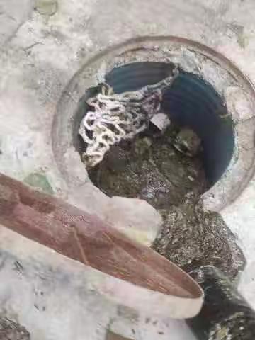 未雨绸缪 巧安排   群策群力 解众愁