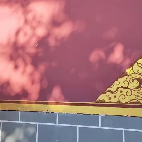 2021年“阳光体育节”鹿城小学 一（5）班运动会
