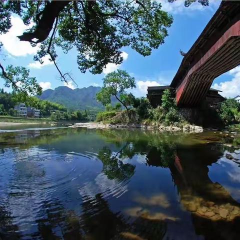 泰顺塔头底村、莲云谷户外温泉一日游