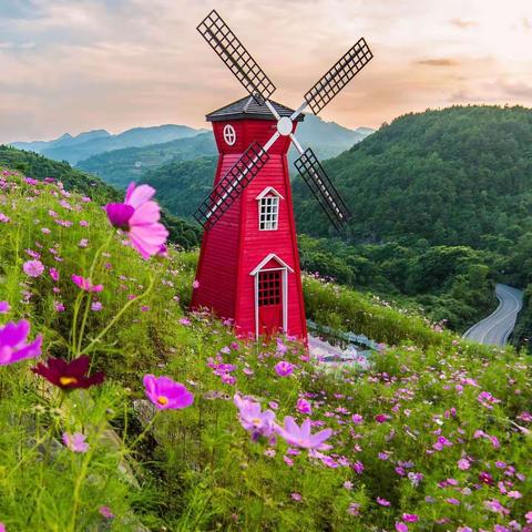 如何修改群昵称