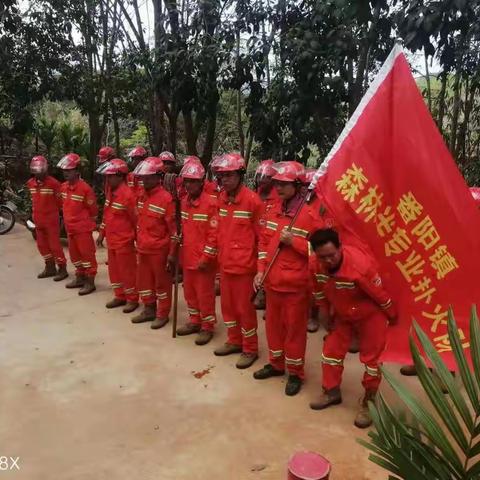 番阳镇：多措并举筑牢森林防火屏障（二）