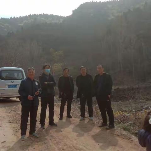 清明时节，春和景明