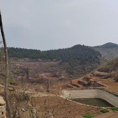 又是一年清明节