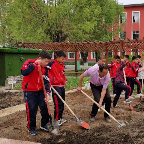 播种春的希望，期待秋的收获——山城镇中心校蔬菜种植体验活动
