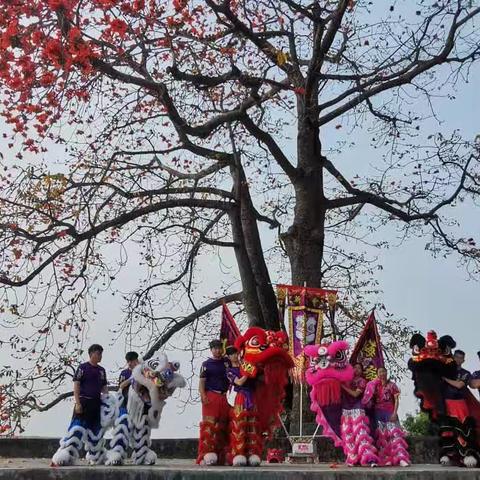 大鳌红卫宝岛印象