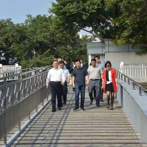 天风海涛 相遇鼓浪屿