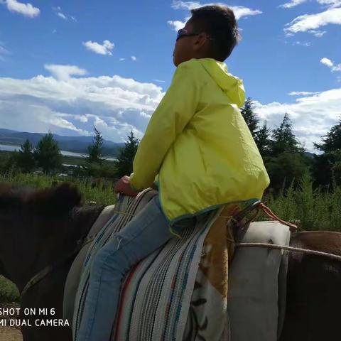 “考拉”云南之旅