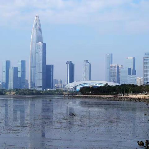 《湿地观景》 —— 摄于 中国 深圳后海湾