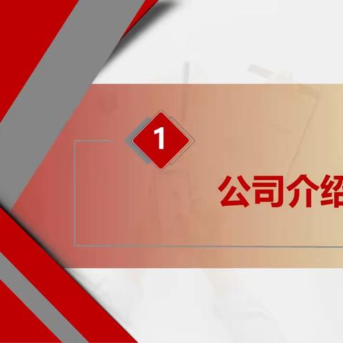 圣安奇公司介绍