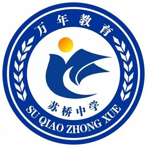 2023年苏桥中学数学同课异构课堂教学比赛