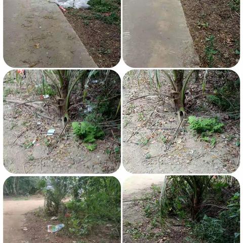 文城镇落实市环卫局4月23日对文城镇文城片区后湾村和堂福村环境卫生督查反馈整改情况美篇