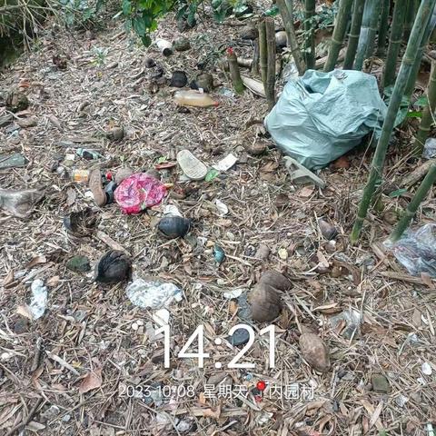 文城镇补充落实市环卫局10月8日对文城镇文城片区白芒村和内园村环境卫生督查反馈整改情况美篇