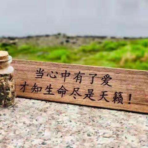 🇨🇳爱我中华🇨🇳冬令营🌟闪亮二团🌟大圆满