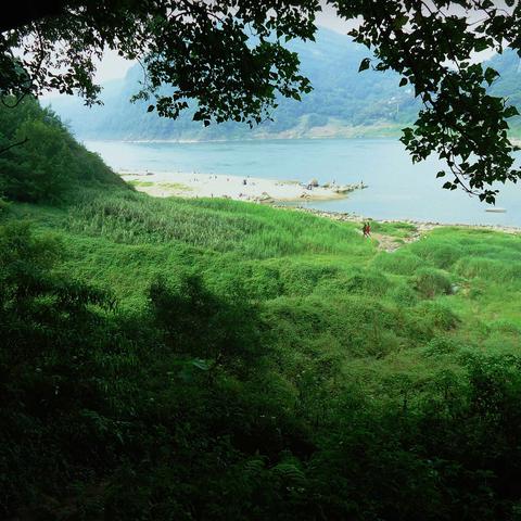 纤夫的江岸——从郭家沱到大沱口