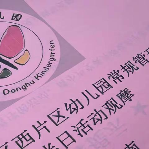 “调研零距离，指导促提升”——东湖幼儿园半日调研活动