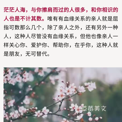 在我心里没有人能代替你