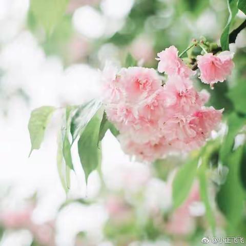 玉山县绿色殡葬改革工作简报（第41期）