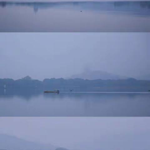 玉山县绿色殡葬改革工作简报（第43期）