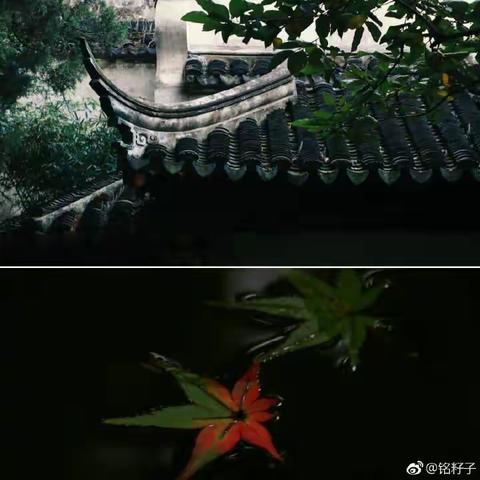 玉山县绿色殡葬改革工作简报（第44期）