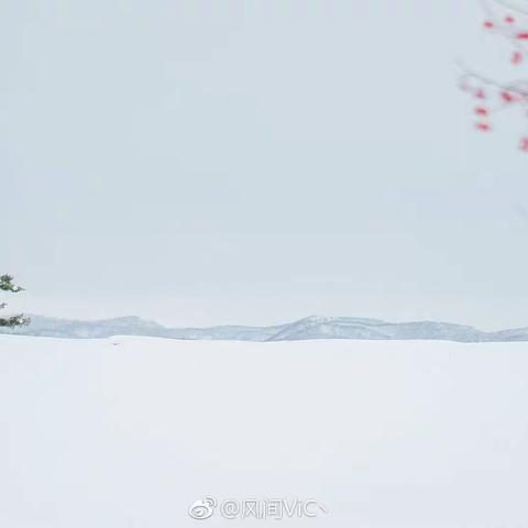 玉山县绿色殡葬改革工作简报（第45期）