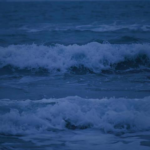 玉山县绿色殡葬改革工作简报（第46期）