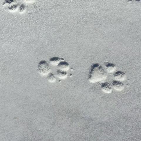 玉山县绿色殡葬改革工作简报（第47期）