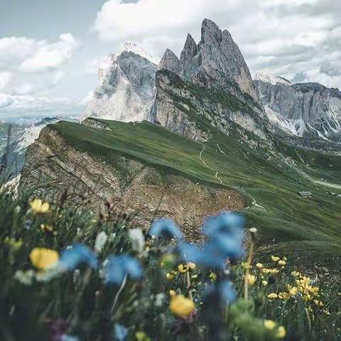 玉山县绿色殡葬改革工作简报（第50期）