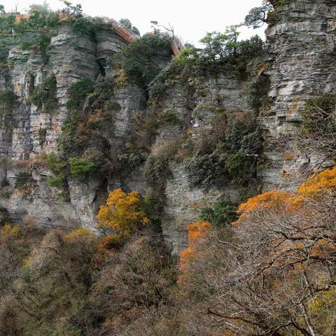 光雾山秋色-大坝景区（下）