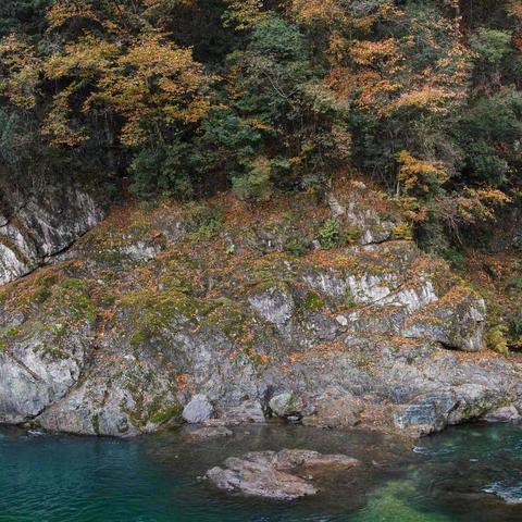 光雾山秋色-桃园景区