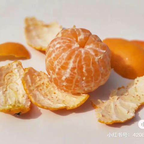 苗一班班本课程——你好橘子🍊“君”