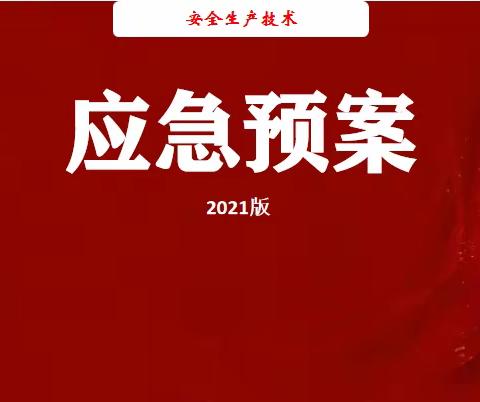 2021版生产安全事故应急预案（依据GB/T 29639-2020编制）