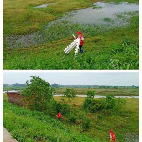 圩堤河道垃圾清除