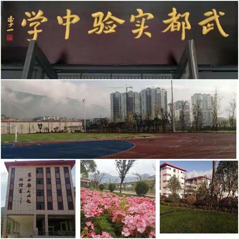 白龙江畔，橄榄之城—武都实验中学书法课堂教学