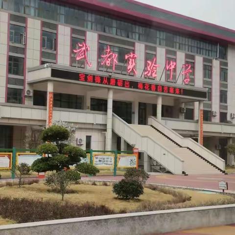 “我的墙壁我做主”武都实验中学校园文化建设之手绘文化墙