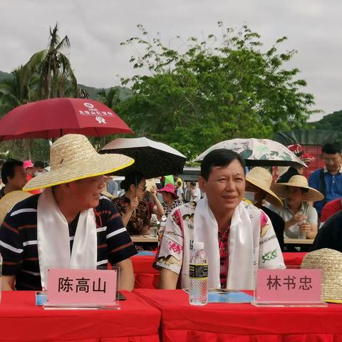 南圣镇庆祝2021海南黎族苗族传统节日“三月三”系列活动圆满结束